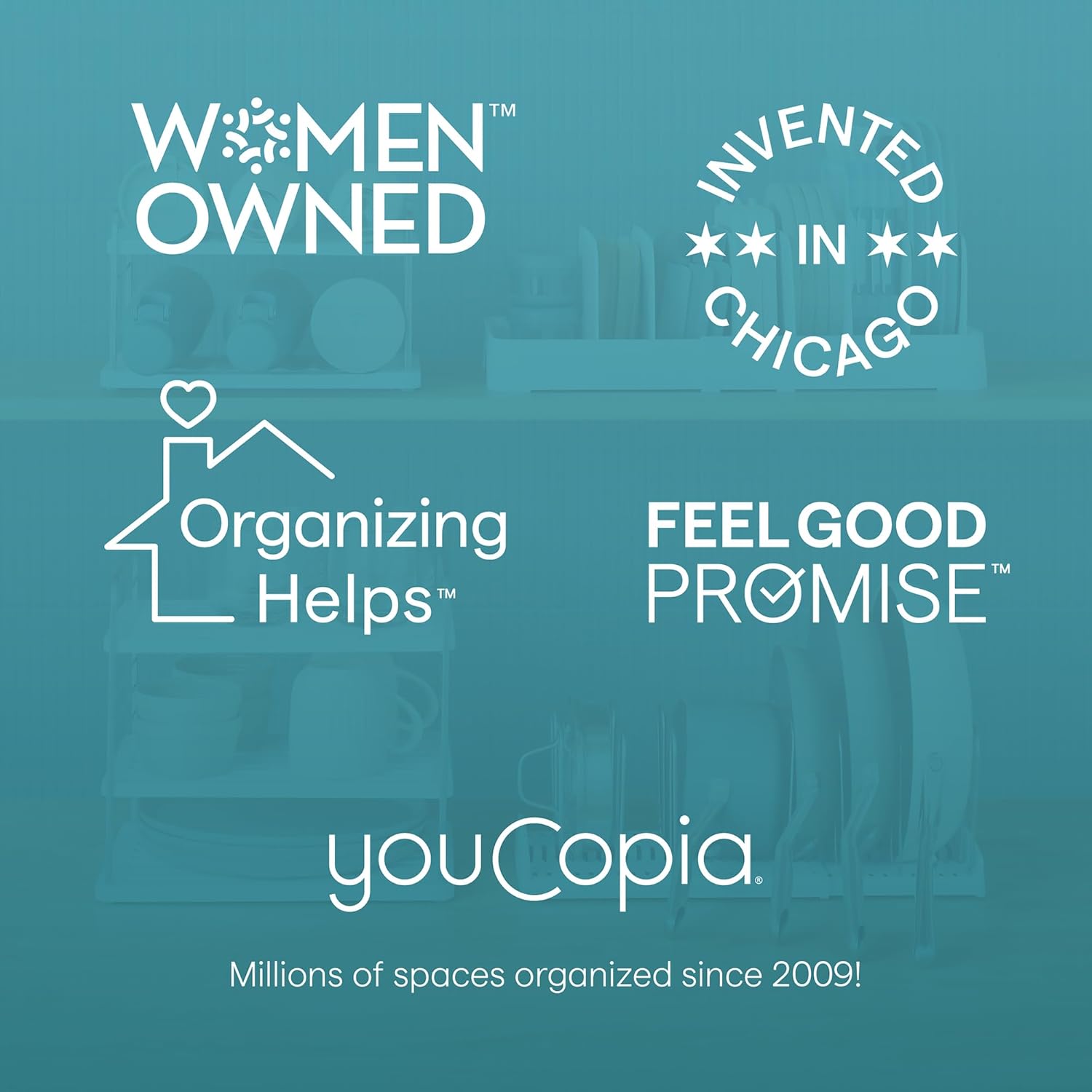 YouCopia UpSpace Cabinet Organizer - Fredblissful