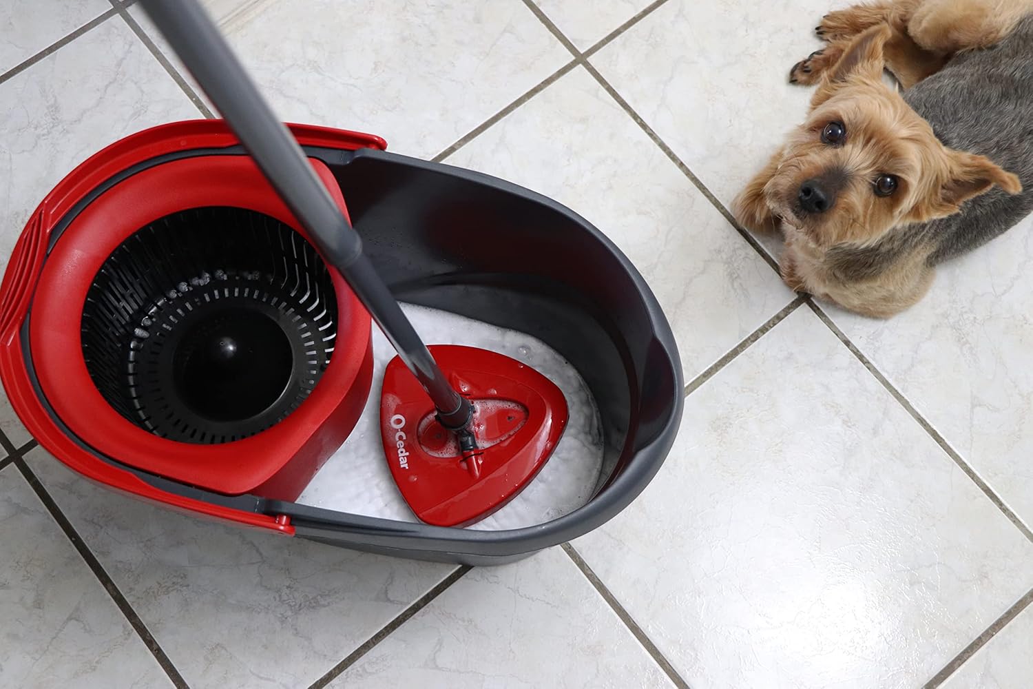 O - Cedar Easywring Microfiber Spin Mop & Bucket Floor Cleaning System with 1 Extra Refill - Fredblissful