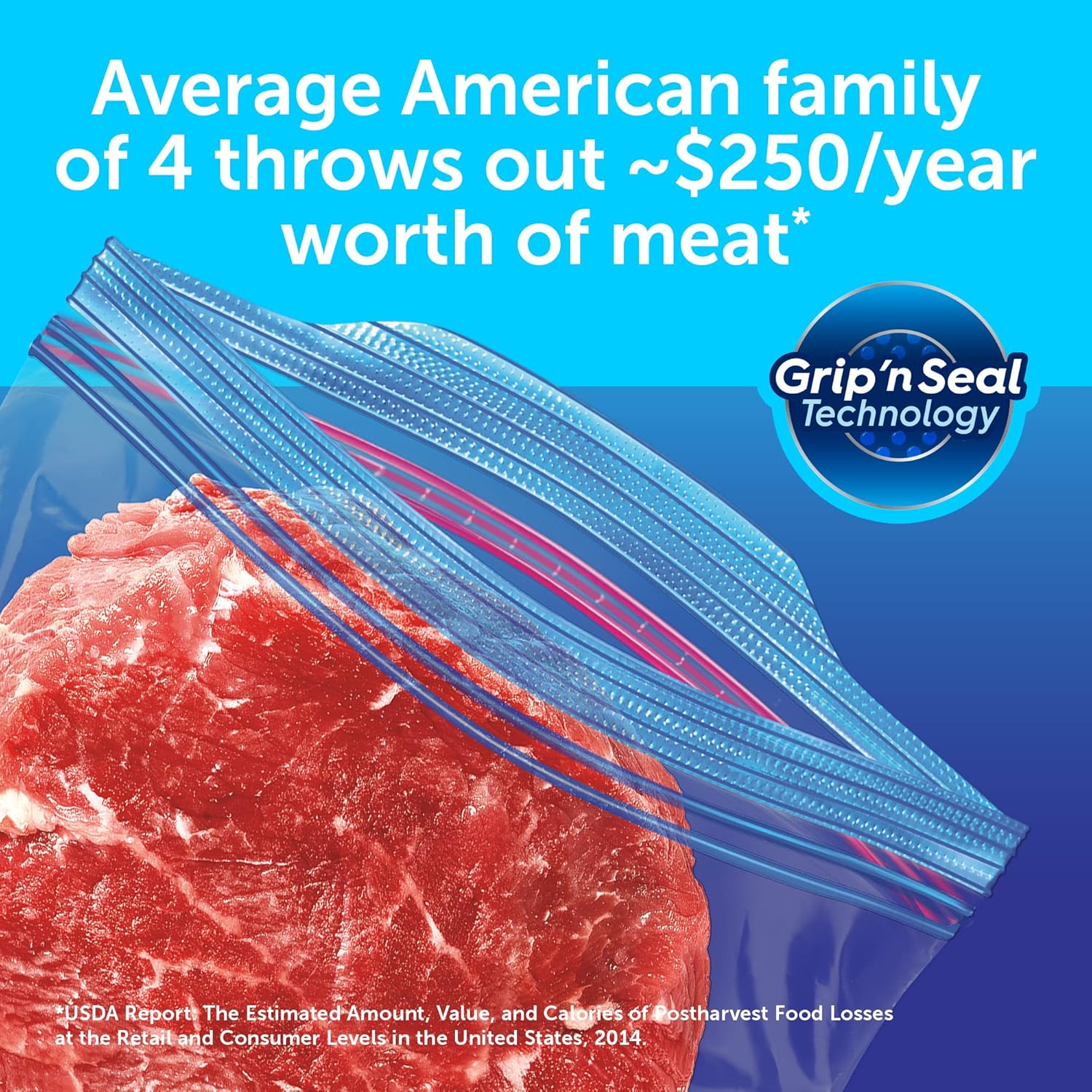 Ziploc Gallon Food Storage Freezer Bags - Fredblissful